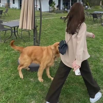 致命女人第一季